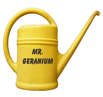 mr.geranium water